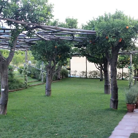 Bed & Breakfast Terra E Cielo 3*