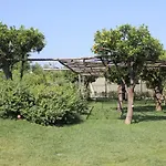 Terra E Cielo Pagani