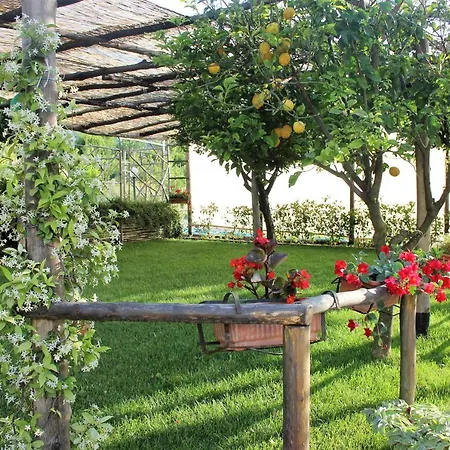 Bed & Breakfast Terra E Cielo