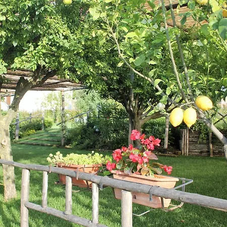 Terra E Cielo ベッド・アンド・ブレックファスト パガーニ