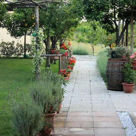 Terra E Cielo ベッド・アンド・ブレックファスト パガーニ