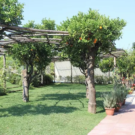 Bed & Breakfast Terra E Cielo *