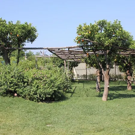 Terra E Cielo Pagani