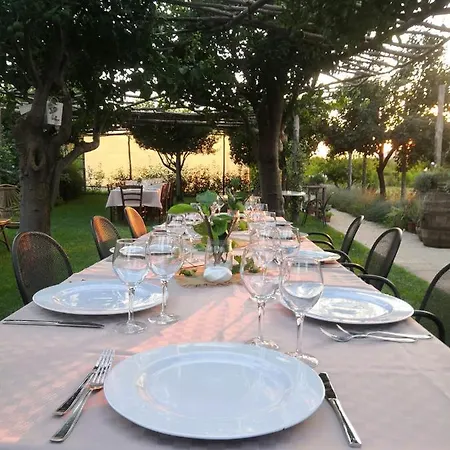 ベッド・アンド・ブレックファスト Terra E Cielo