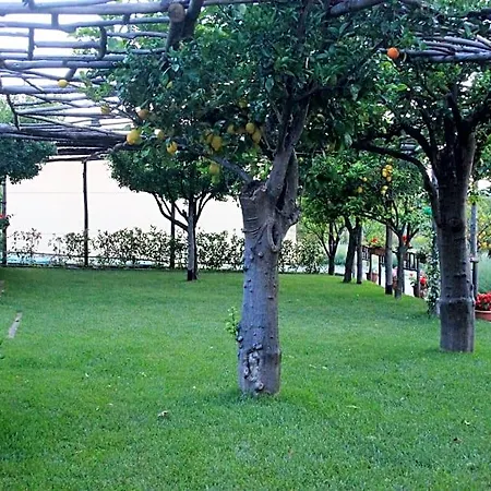 Terra E Cielo Пагани