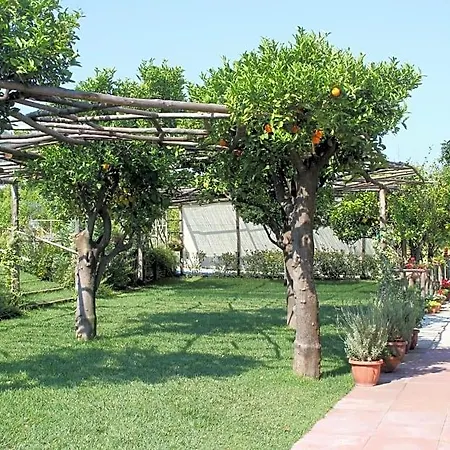 Terra E Cielo